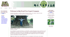 Desktop Screenshot of bigwoodtreeexpert.com